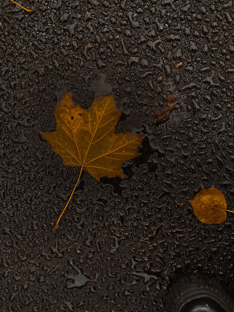 Photograph by Rita K.
