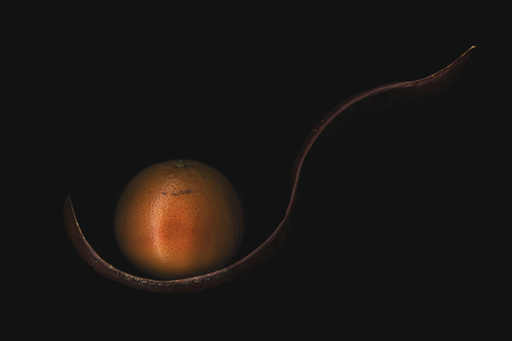 Photograph by Luca Menotti