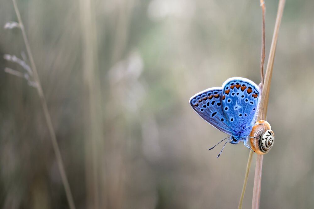 Photograph by Kveta Novotna