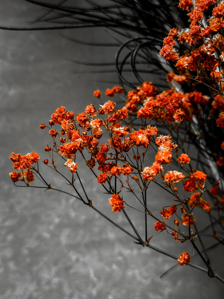 Photograph by Анна Пигулевская