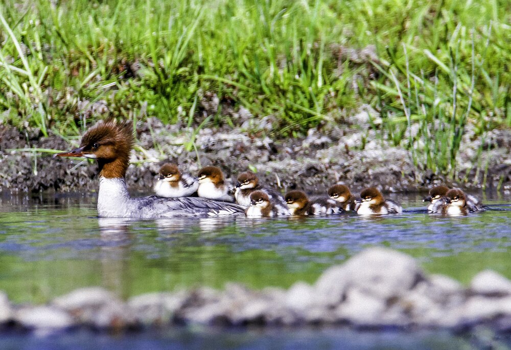 A warm island in the midst of life\\\'s flow