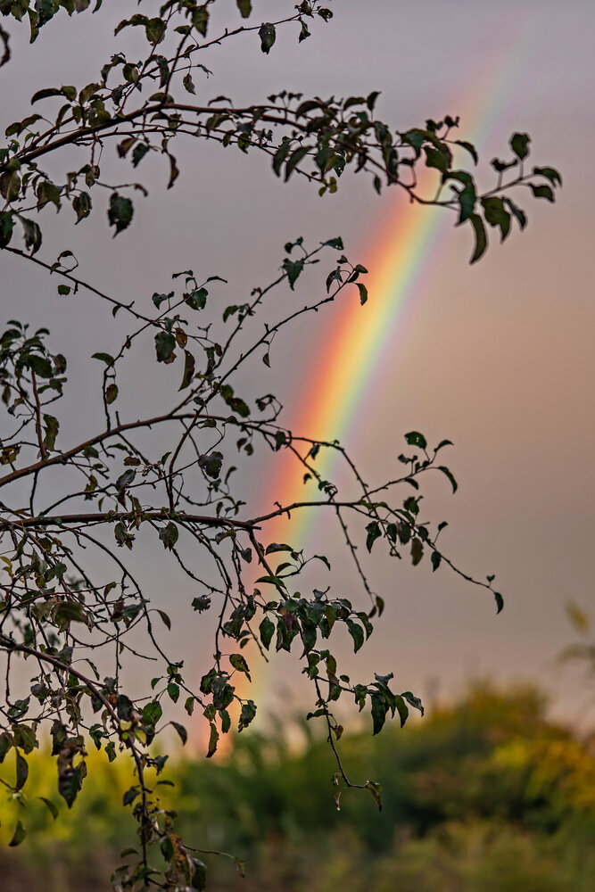 Photograph by Галина Григорьева