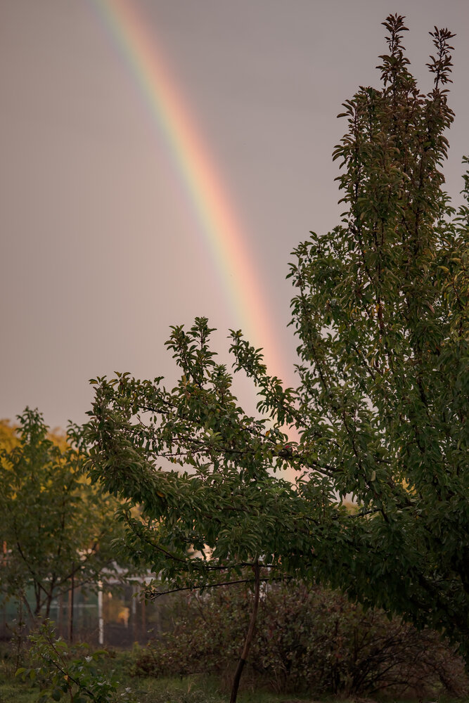 Photograph by Галина Григорьева