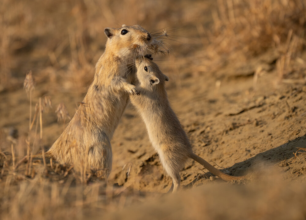 Photograph by Владимир Цветов