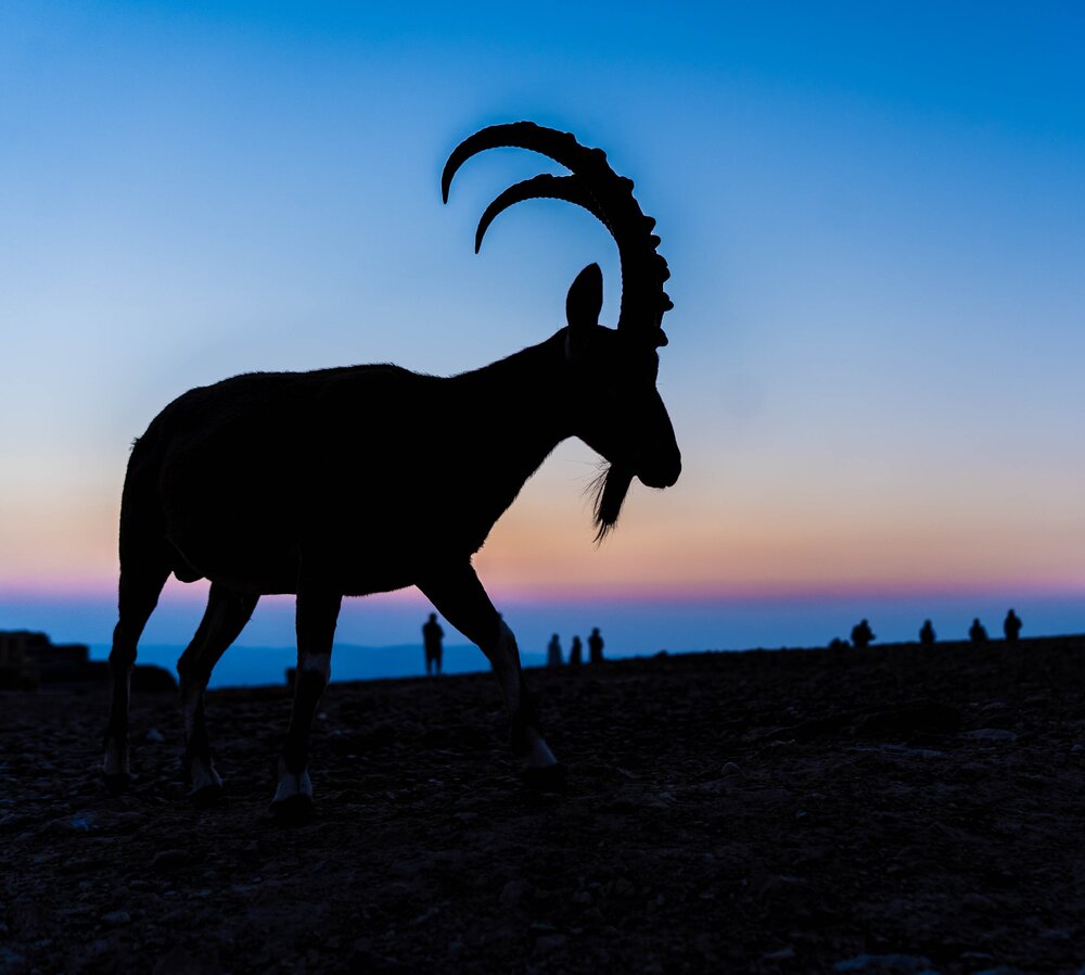 Photograph by Igor Shulkin