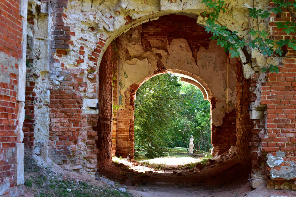 Photograph by Галина Купцова
