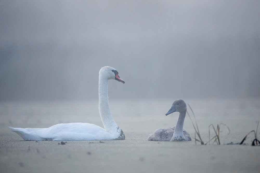Photograph by Lozhkin Vyacheslav