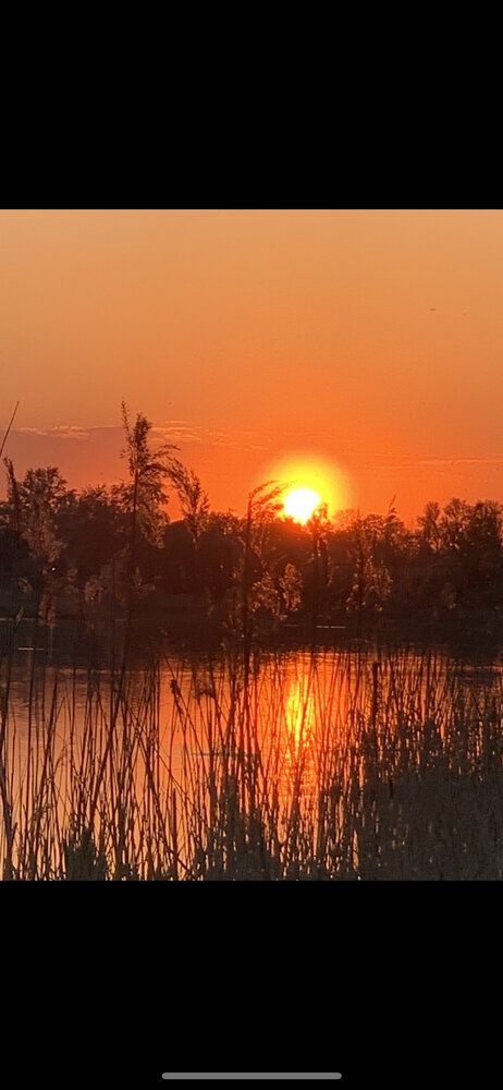 Photograph by Жанна Кузьмичева