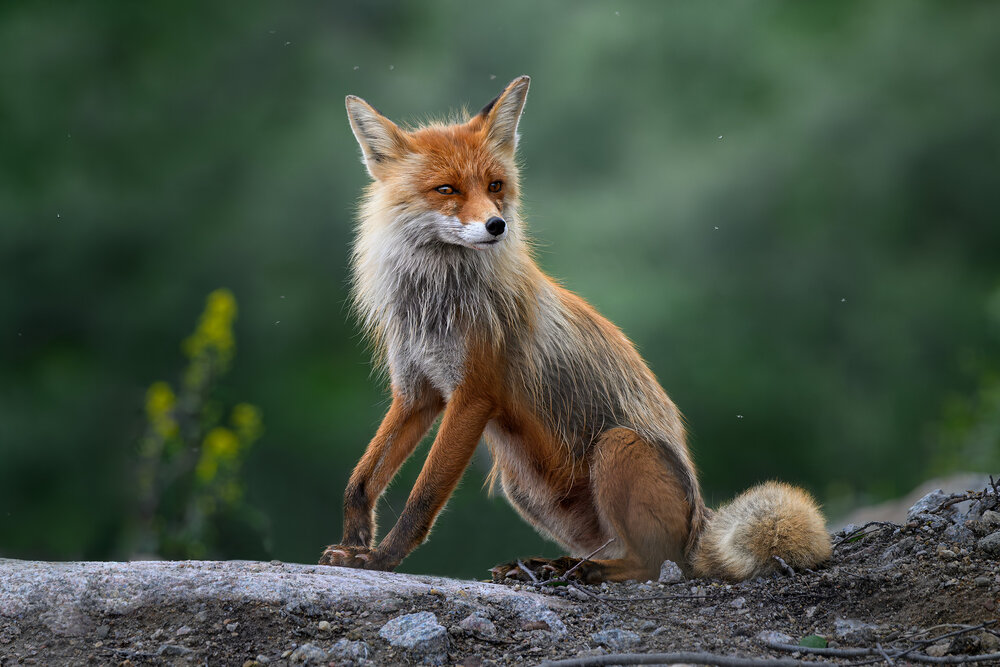 Photograph by Ездаков Михаил