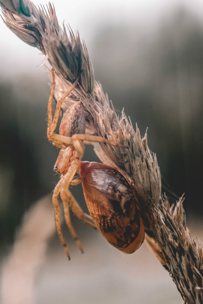 Photograph by Любовь Бусова