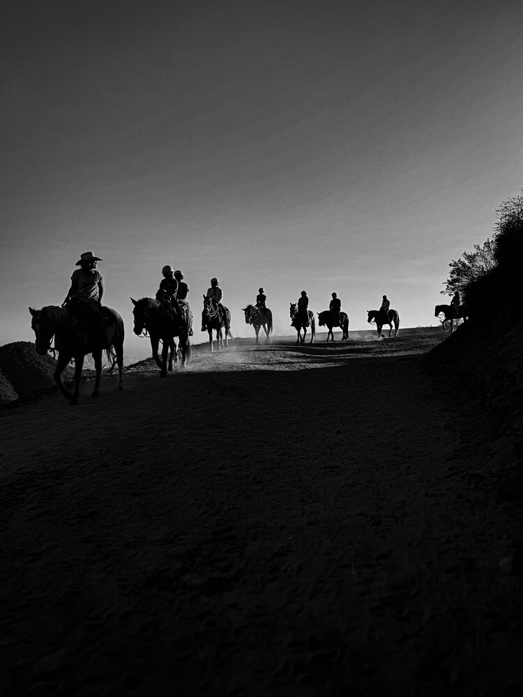 Photograph by Евгений Новицкий