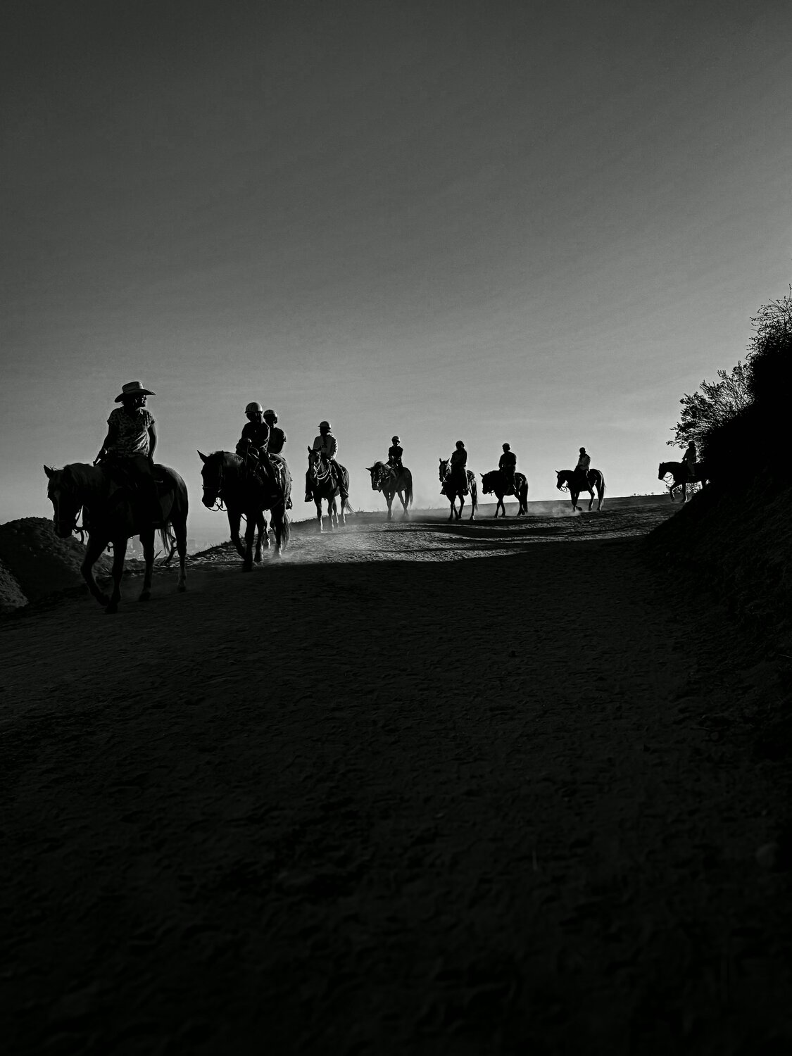 Photo #13992155