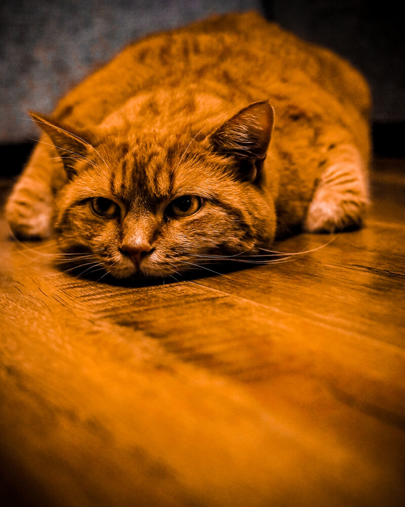 Photograph by Ирина Борисова