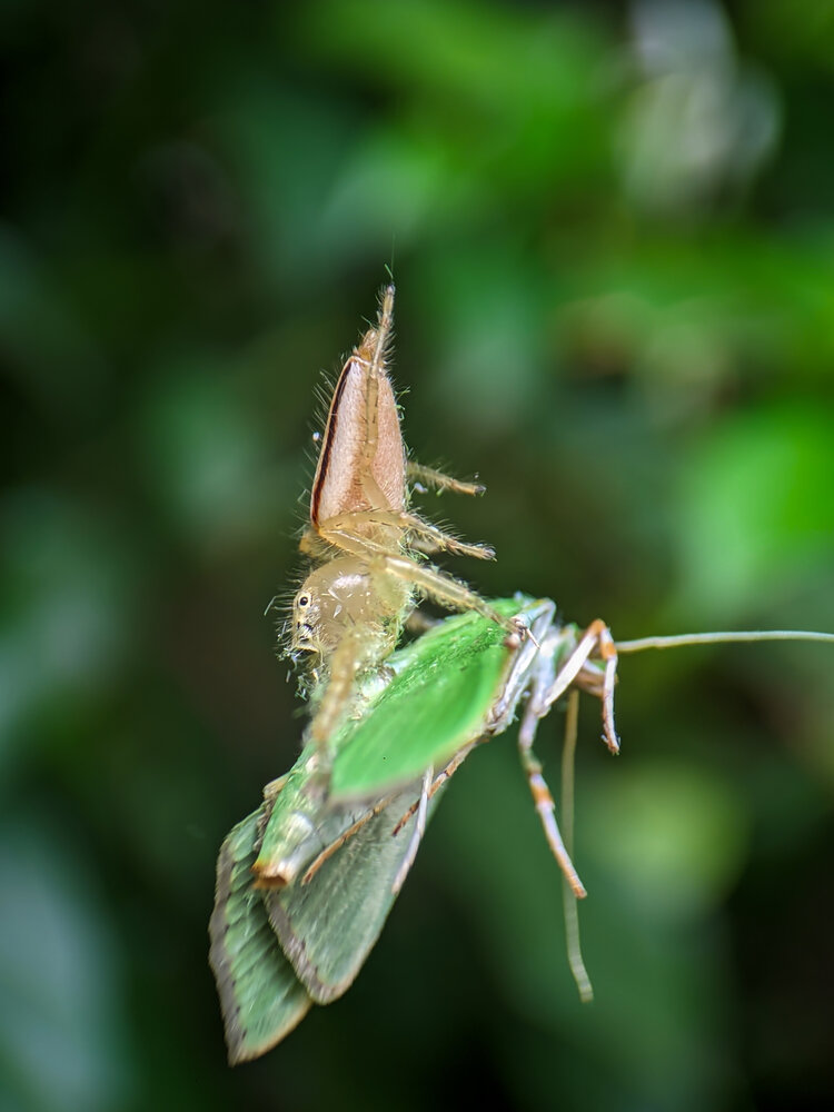 Photograph by Chowdhury Sumitava