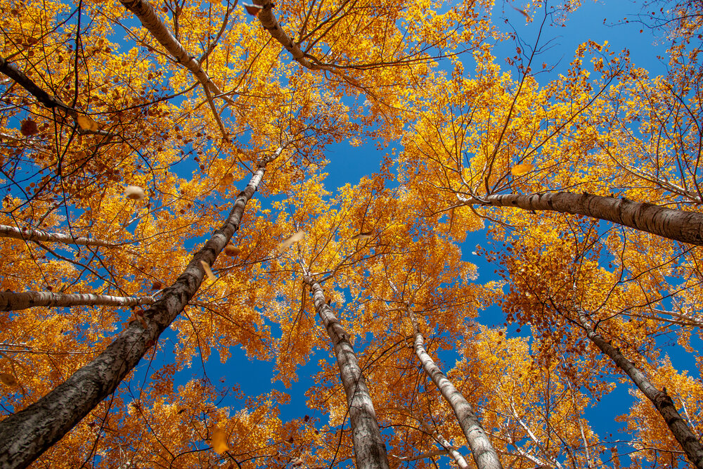 Photograph by Геннадий Лосев