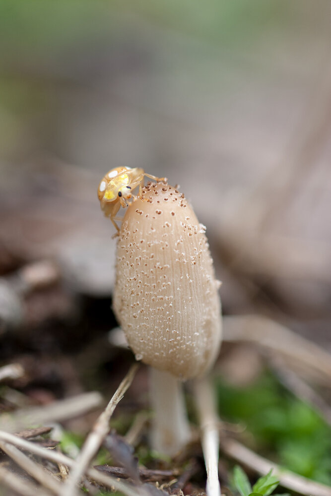 Photograph by Екатерина Молодкина
