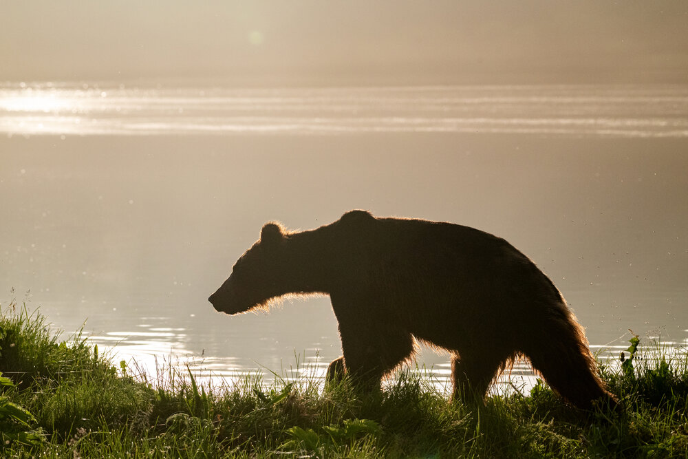Photograph by Савчук Сергей