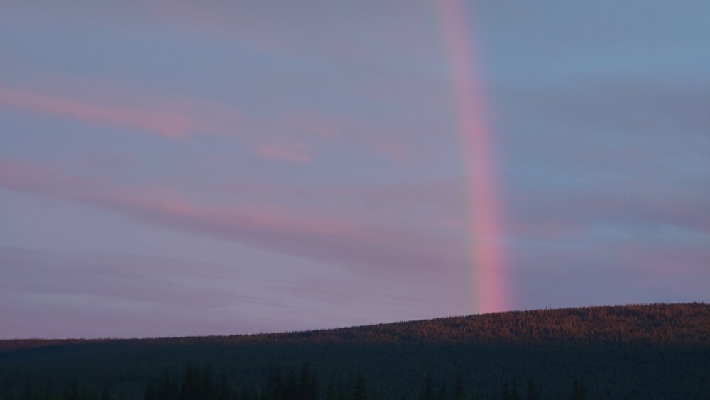 Photo #13992598