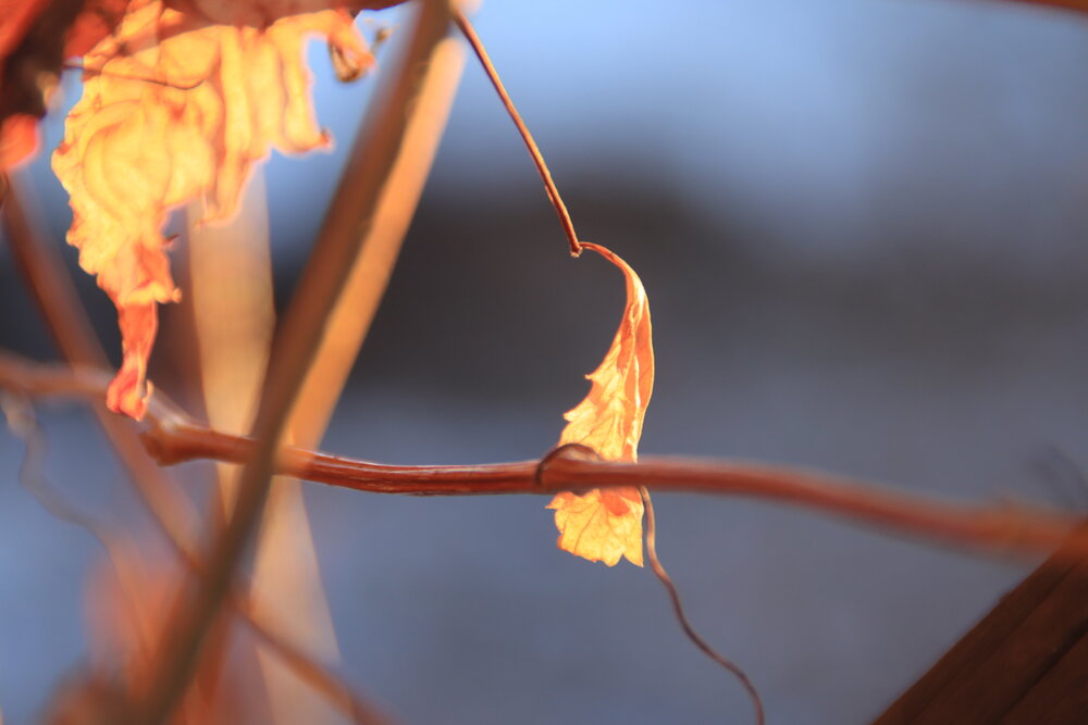 Photograph by Алексей Банных