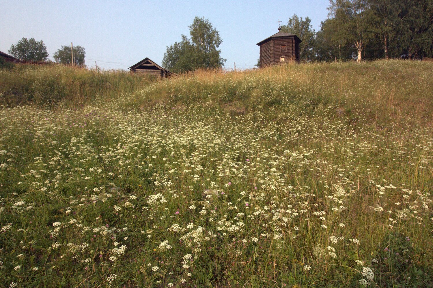 Photo #13992720