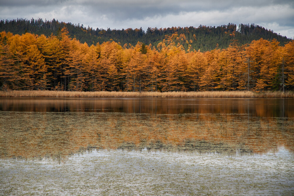 Photograph by ЕЛЕНА Рохо-Фернандес