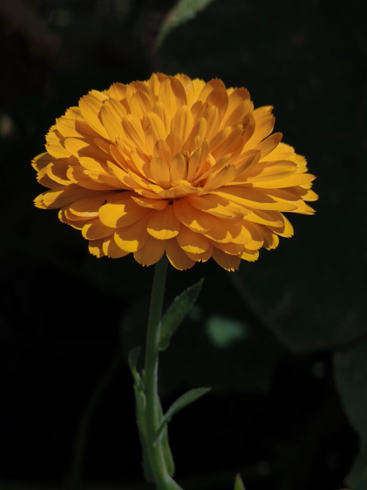 Photograph by Светлана Фоменко