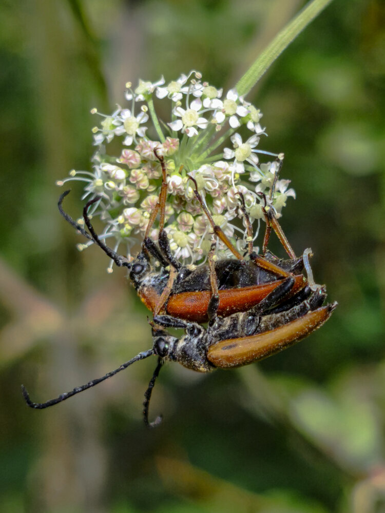 Photograph by Наталья Веселкина