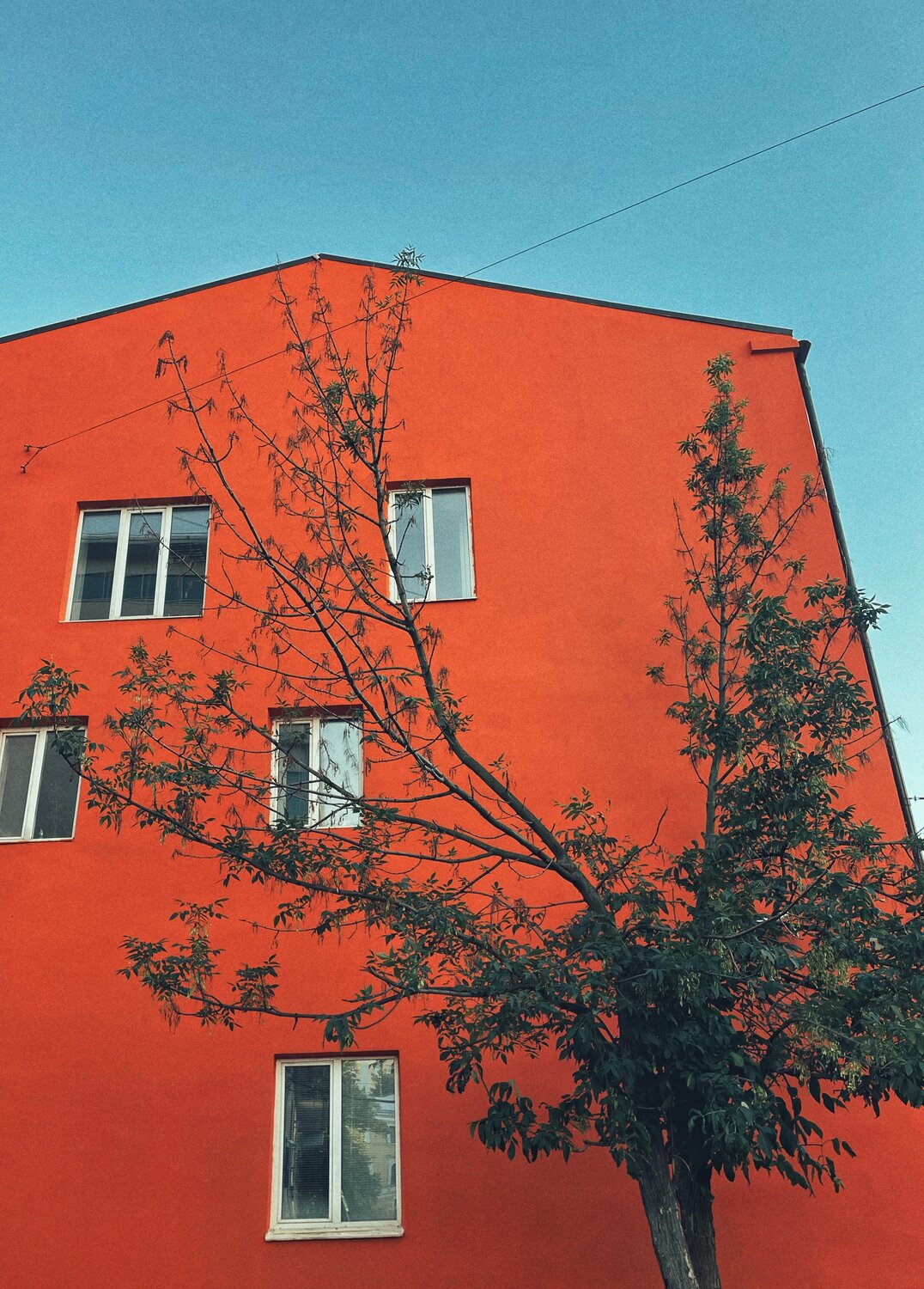 Photo #13992841