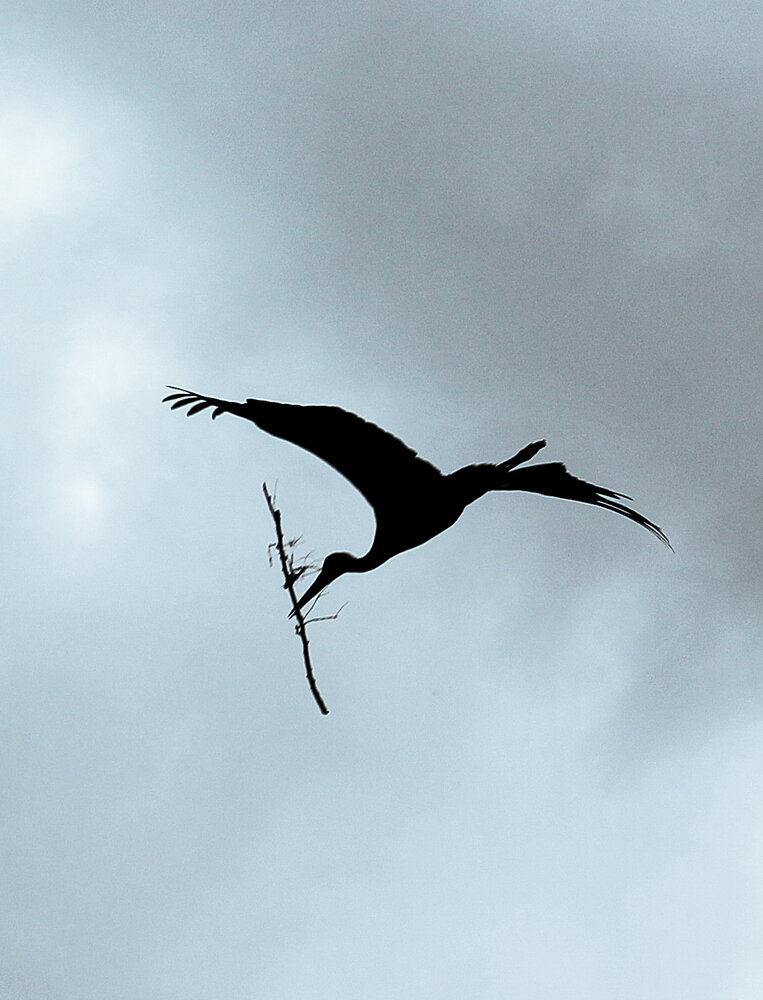 Photograph by Евгения Флиорчук