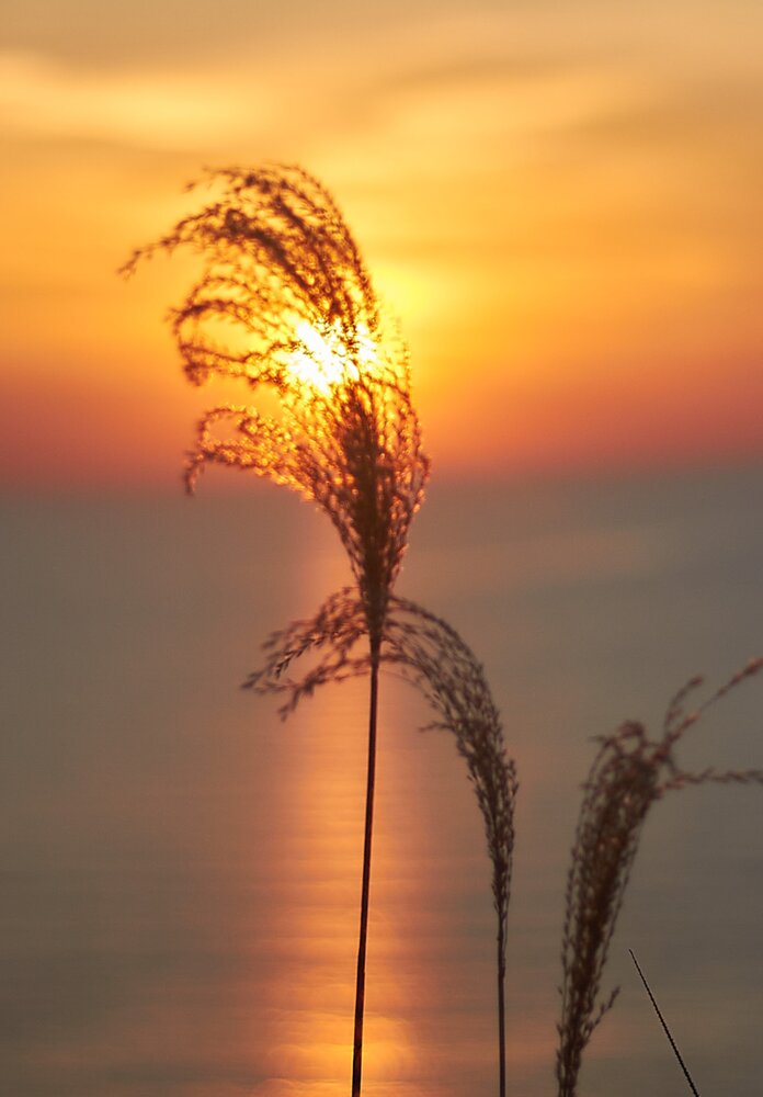 Photograph by Наталья Шевелева