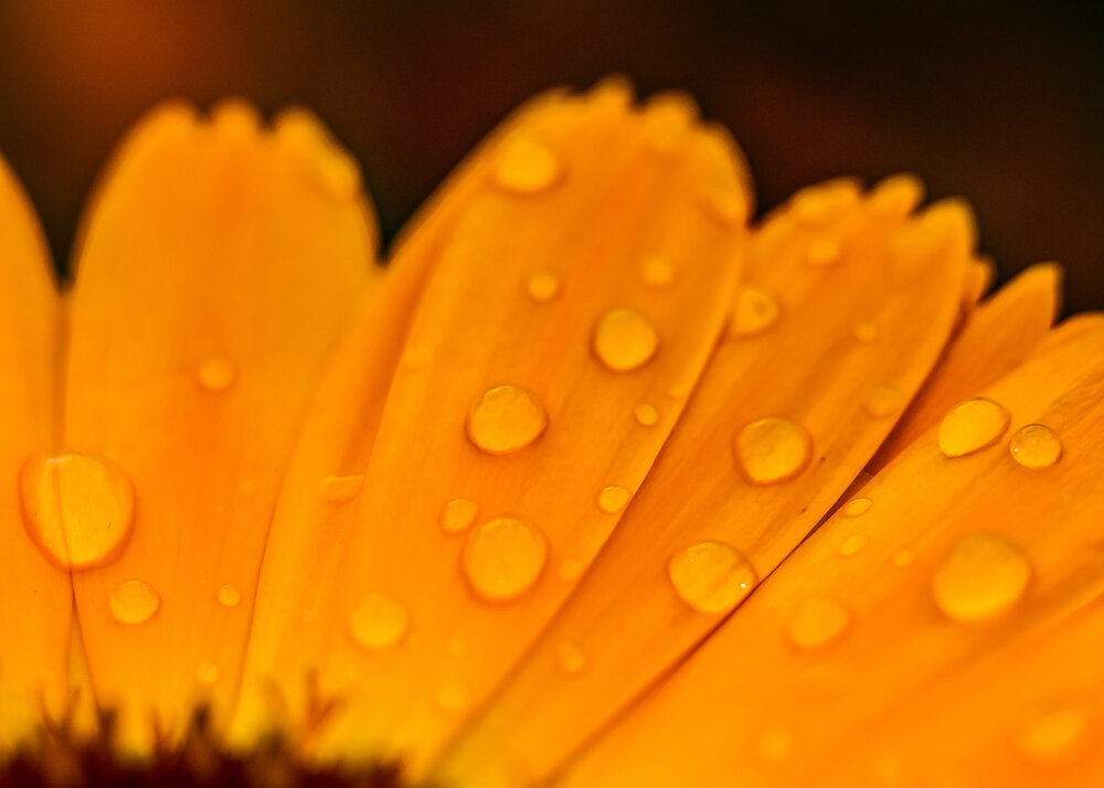 Photograph by Таращук Евгений