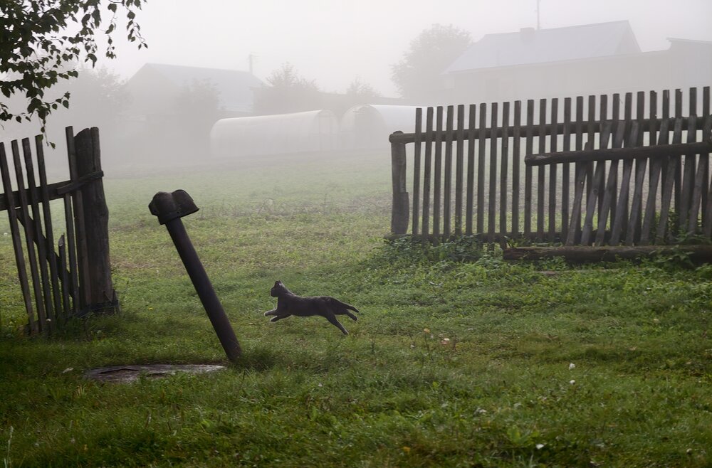 Ghost of the Village