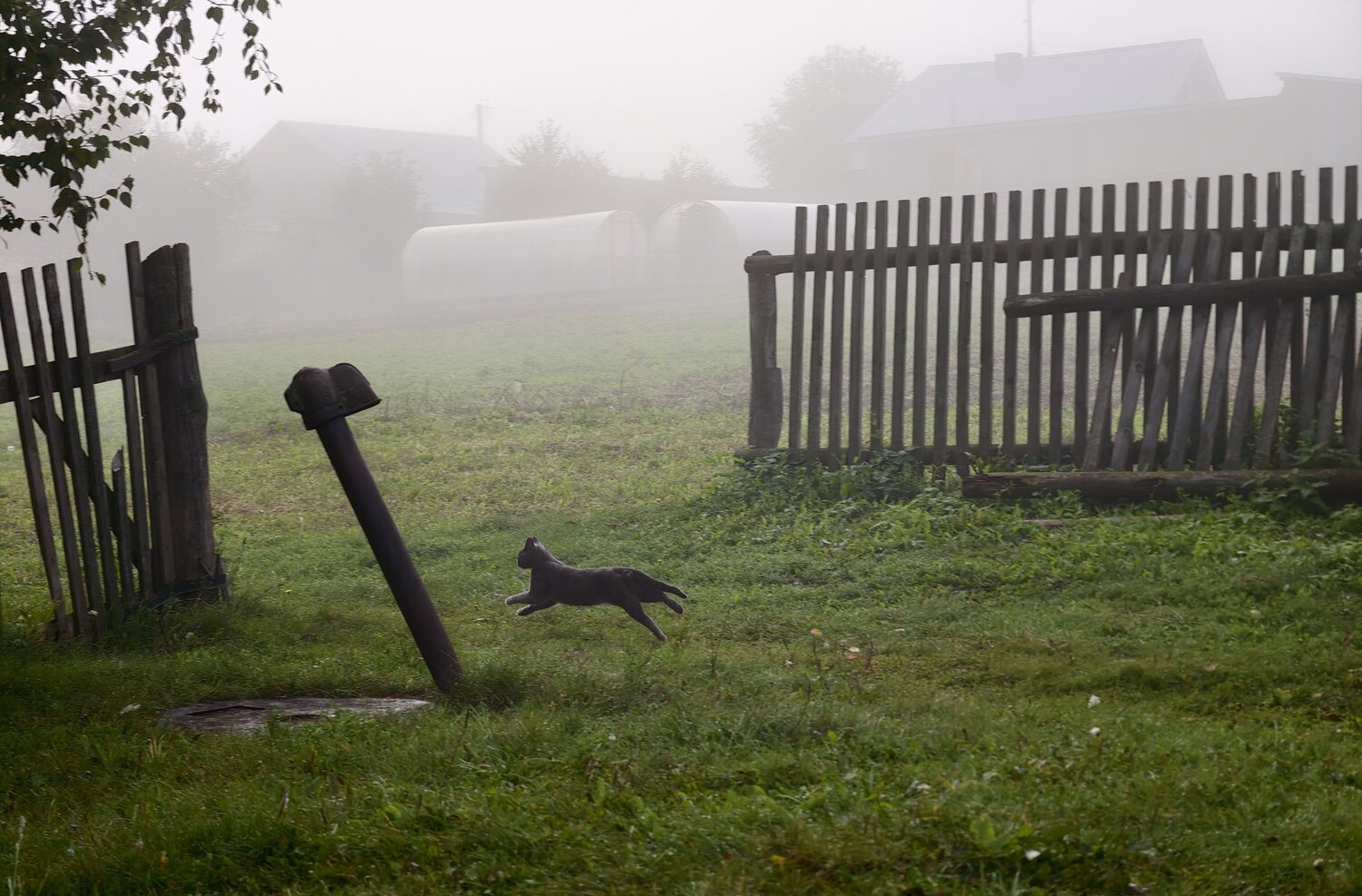 Ghost of the Village