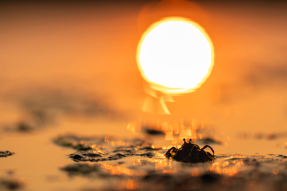Photograph by Dhananjay Thakur