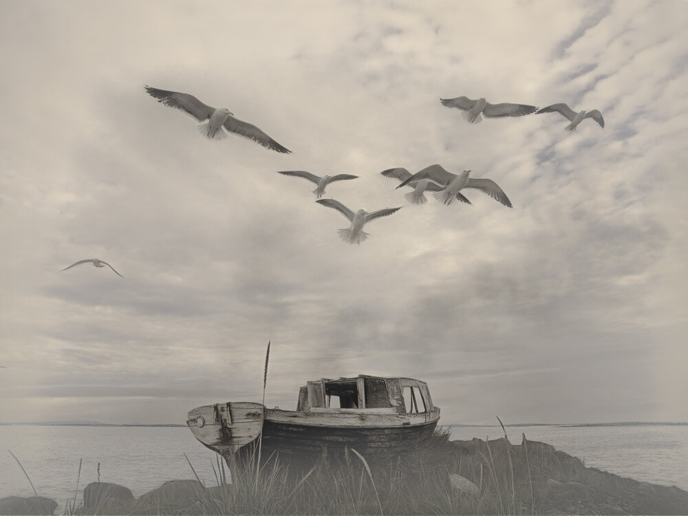 Photograph by T. Bondarenko