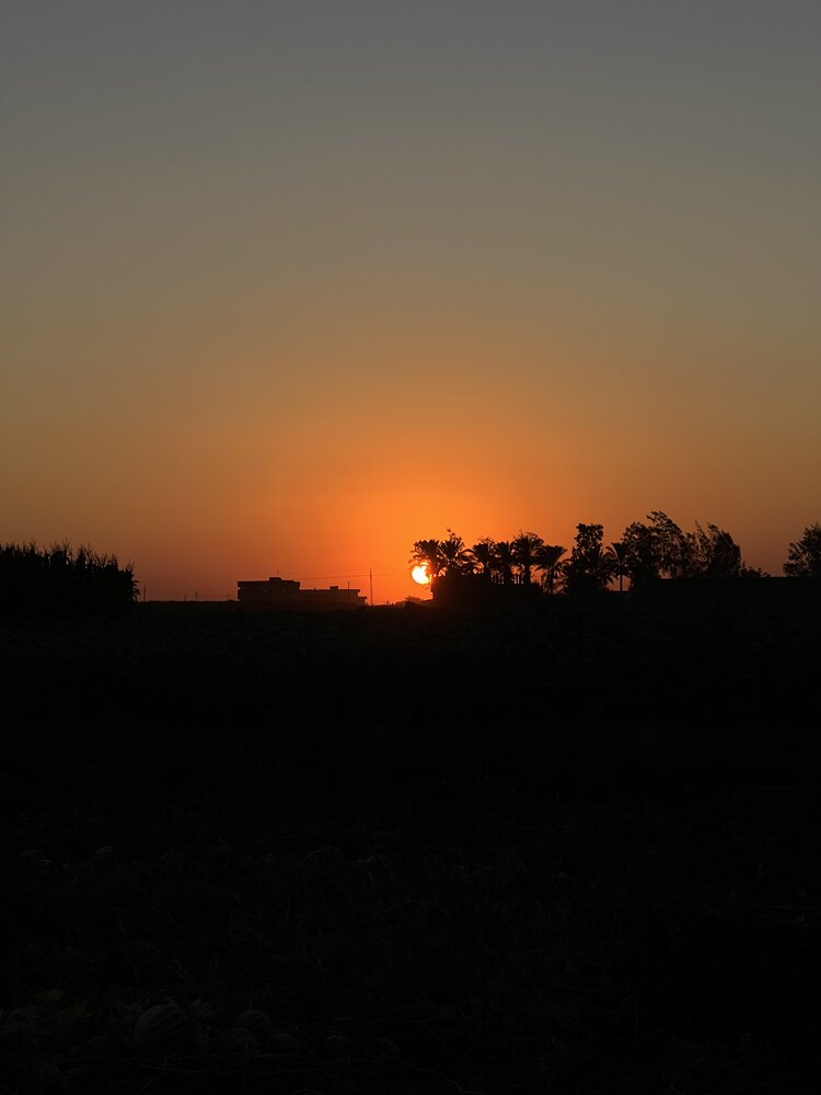 Photograph by 2laa abdelfattah