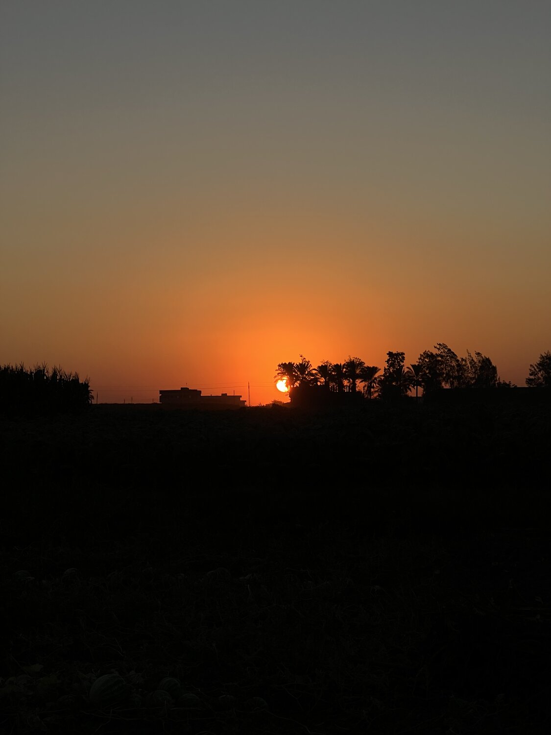 Photo #13993110