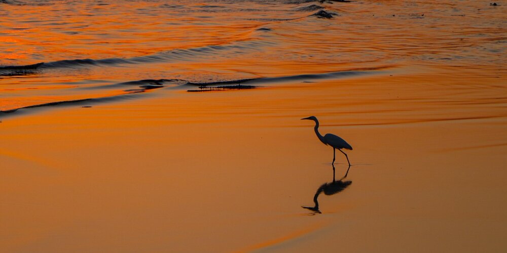 Photograph by Mohammad Ali Ataei Daryaei