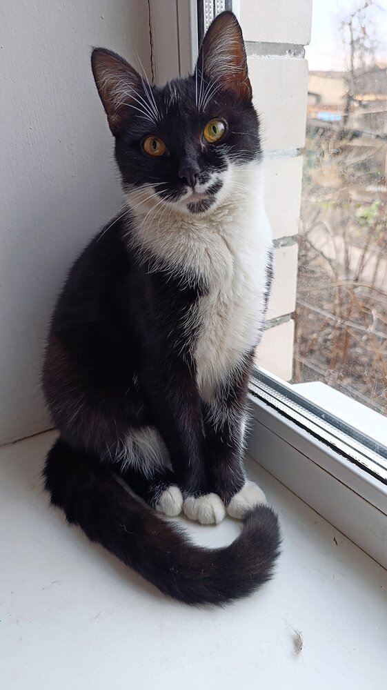 Photograph by Николай Кузнецов