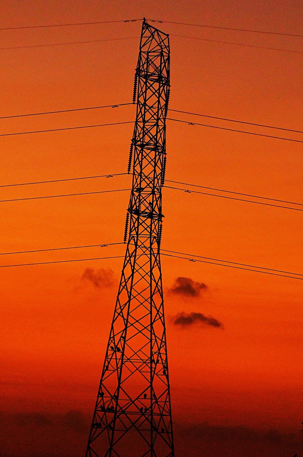 Photo #13993319