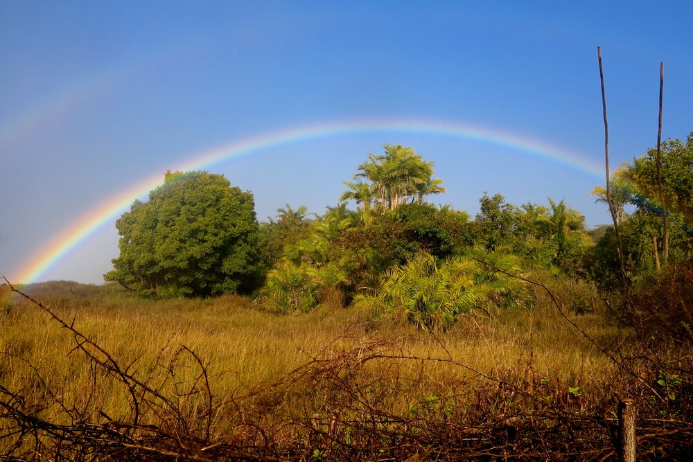 Arco iris