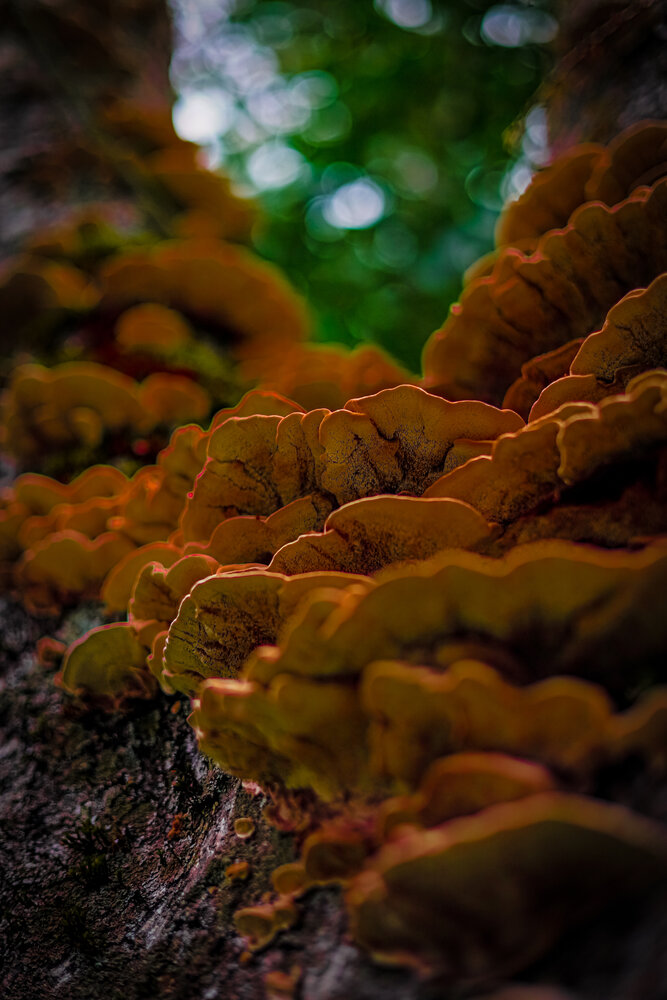 Photograph by Ирина Борисова