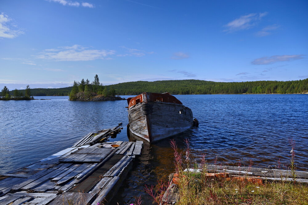Photo #13993564