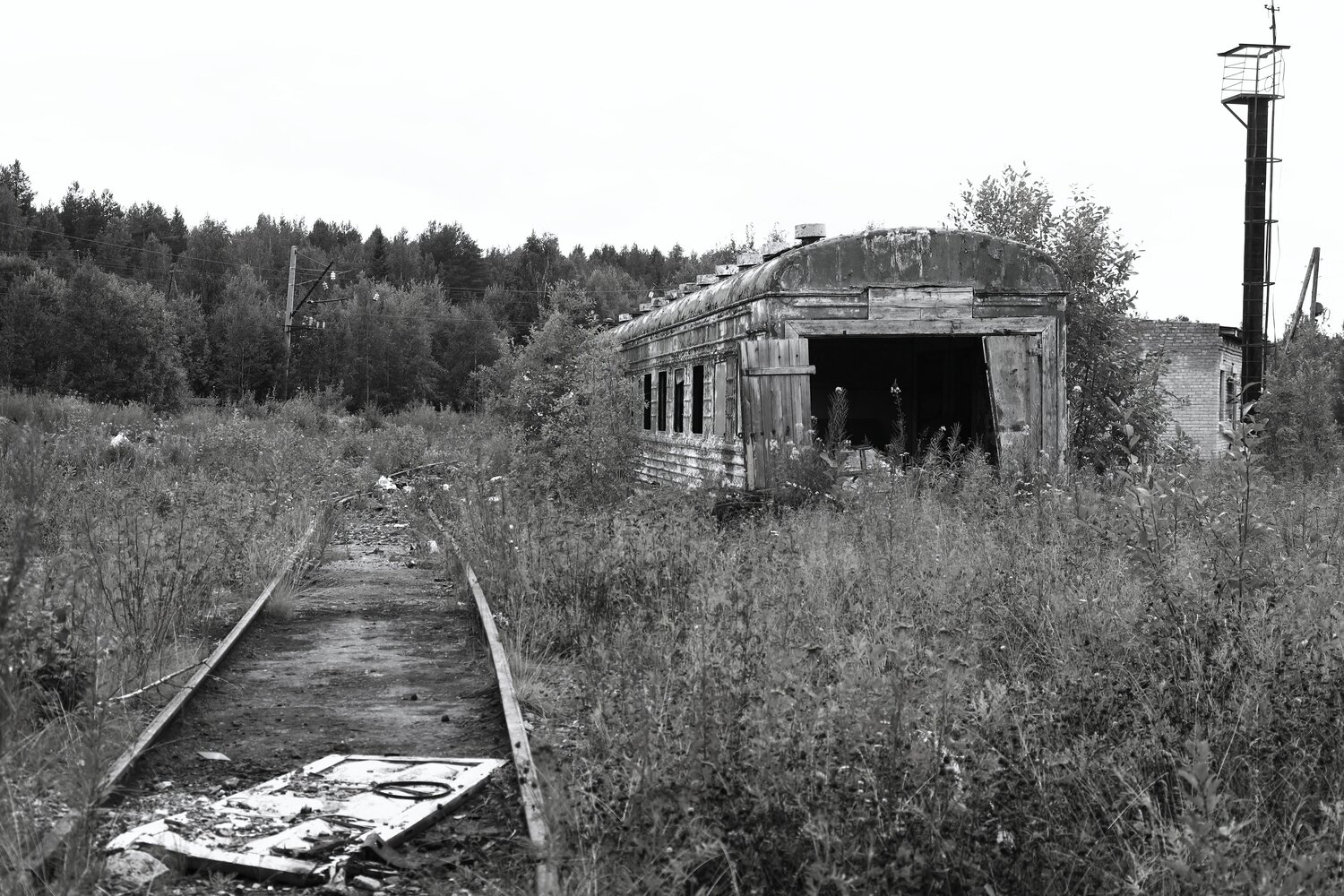 Photo #13993570