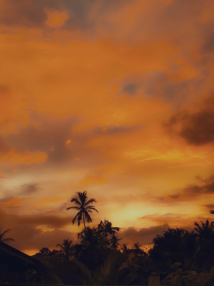 Photograph by K.A Vishwa Sankalpa
