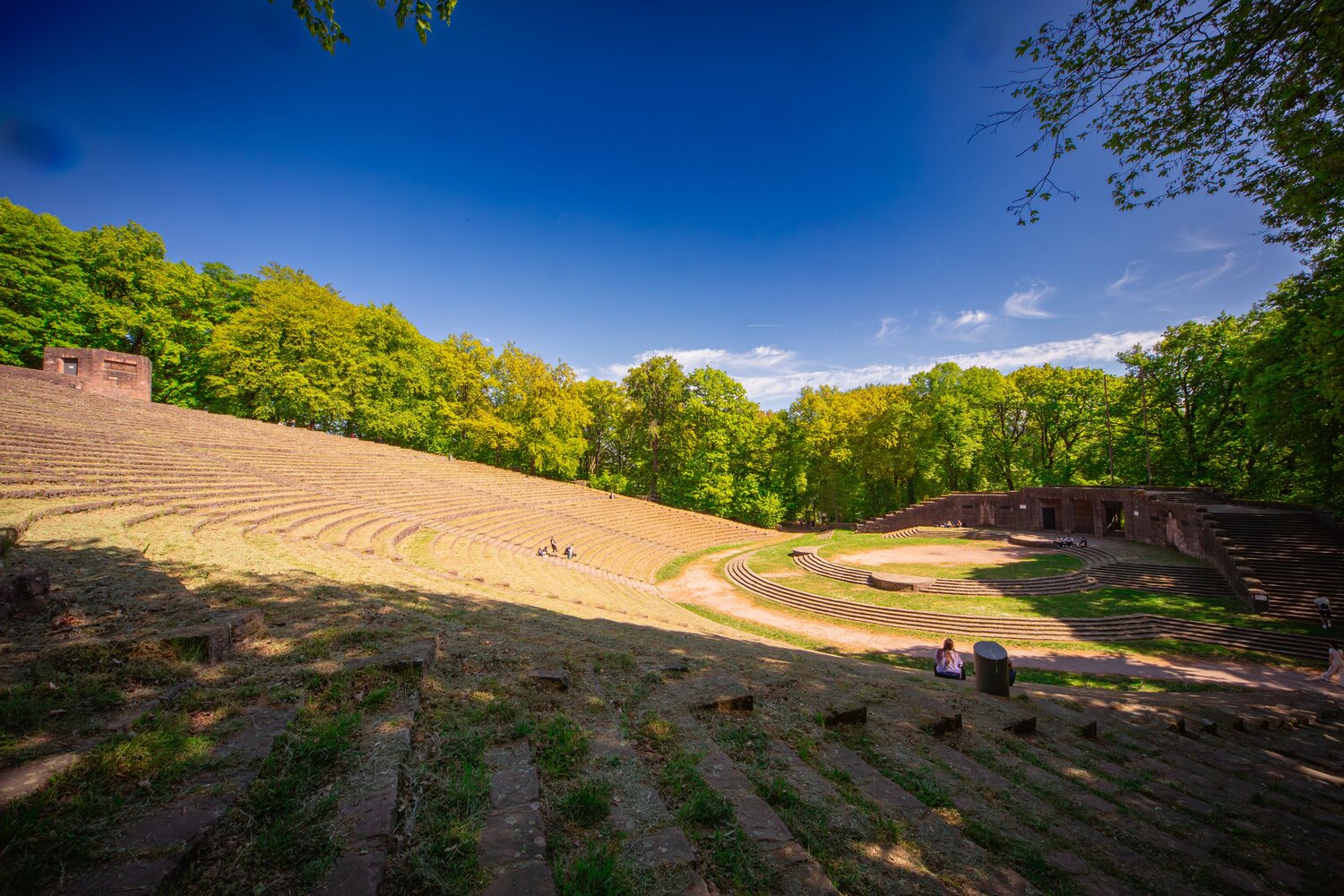 A detailed wide landscape photo showing historic open air amphitheater Heidelberg Thingstaette surrounded by green forest trees under sunny blue sky