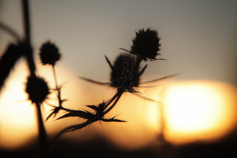 Photograph by Виктория Хмара