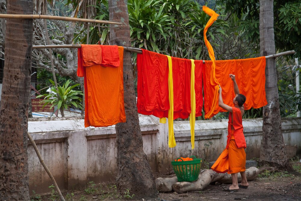 ORANGE SILENT FLIGHT - PAULINA FRONTERA PHOTO