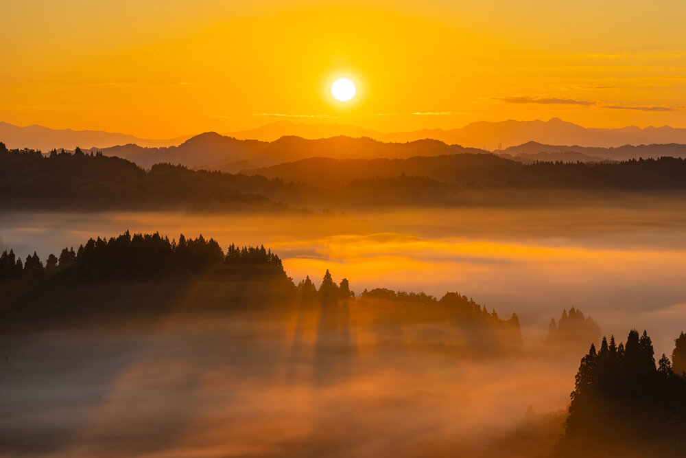 Photograph by OKA NAOKI
