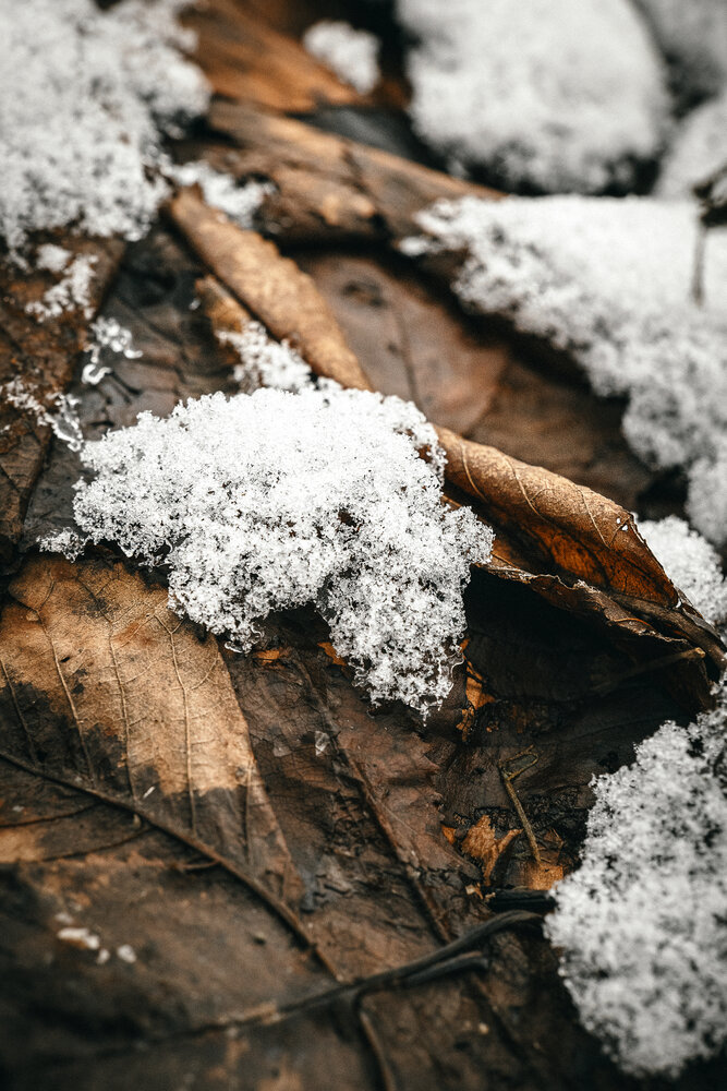 Photograph by Остапенко Алина